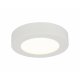 Plafon LED 20W PAULA 41605-20D Globo