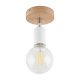 Lampa reflektor spot SIMPLY WOOD WHITE 4745 TK Lighting