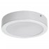 Oprawa natynkowa sufitowa LED 7W SHAUN2 71192 Rabalux