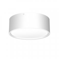 Oprawa natynkowa spot typu DOWNLIGHT 1368 Luminex