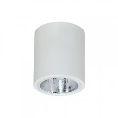 Oprawa natynkowa spot typu DOWNLIGHT 7236 Luminex