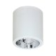 Oprawa natynkowa spot typu DOWNLIGHT 7238 Luminex